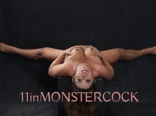 11inMONSTERCOCK