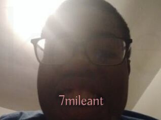 7mileant