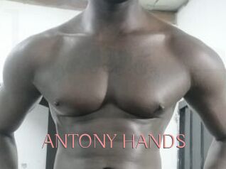 ANTONY_HANDS