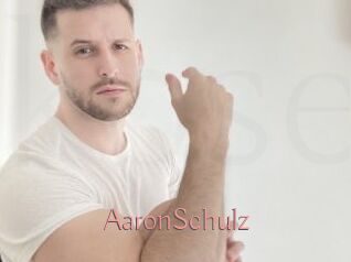 AaronSchulz