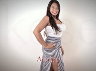 AnaLin