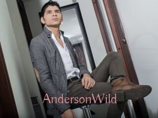 AndersonWild