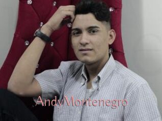 AndyMontenegro