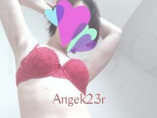 Angek23r