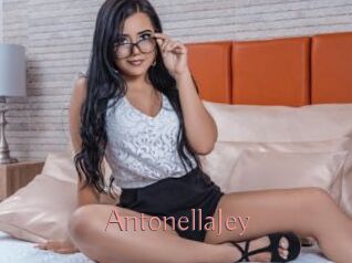 AntonellaJey