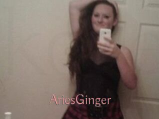 AriesGinger