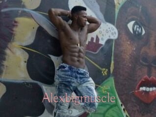 Alexbigmuscle