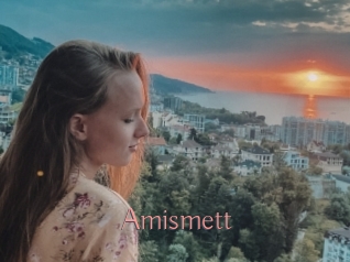 Amismett