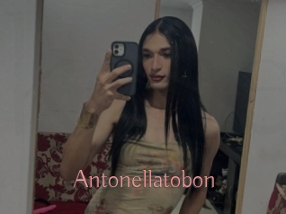 Antonellatobon