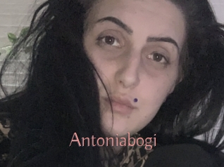 Antoniabogi