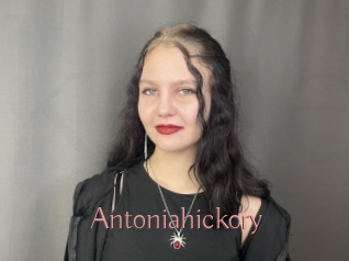 Antoniahickory