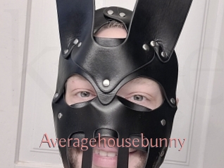 Averagehousebunny