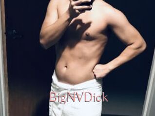 BigNVDick