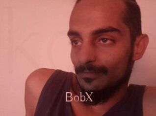 BobX