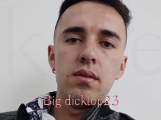 Big_dicktop23