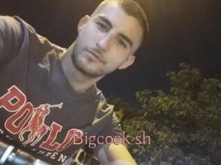 Bigcock_sh