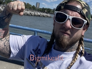 Bigmikesfit