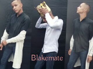 Blakemate