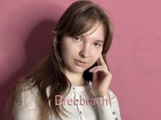 Breebrach