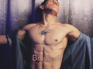 Brucemill