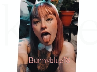 Bunnyblue18