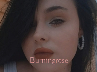 Burningrose