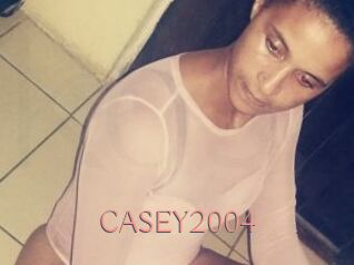 CASEY2004