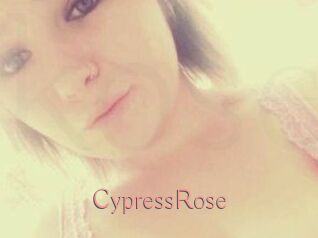 Cypress_Rose