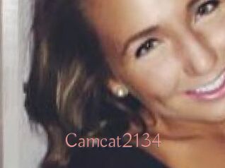 Camcat2134