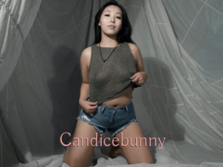 Candicebunny