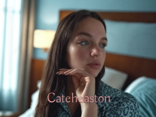 Cateheaston