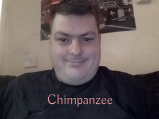 Chimpanzee