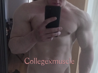 Collegexmuscle