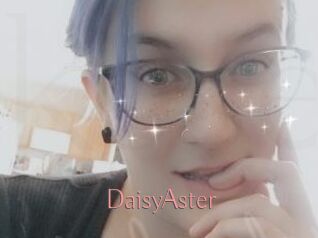 DaisyAster