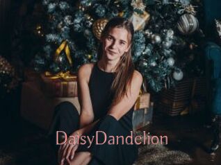 DaisyDandelion