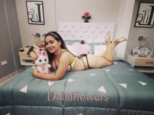 Daliaflowers