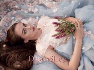 DreamSleep