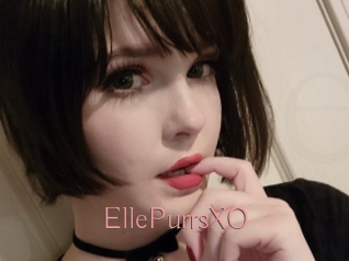 EllePurrsXO