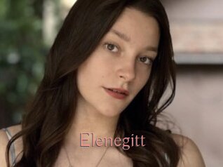 Elenegitt