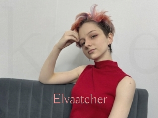 Elvaatcher