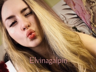 Elvinagalpin