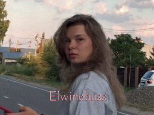 Elwinebuss