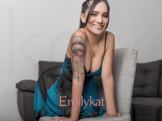 Emilykat