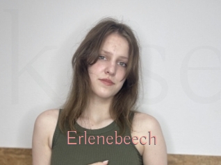 Erlenebeech