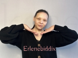 Erlenebiddix