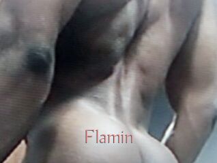 Flamin