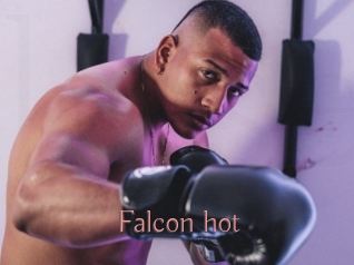 Falcon_hot