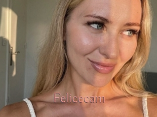 Felicecam