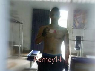 Ferney14