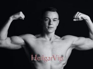 HeilgarVip